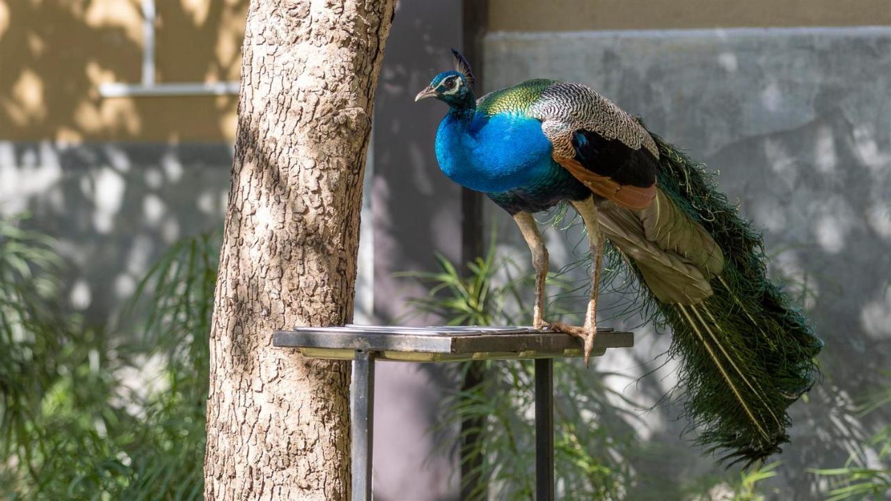 Birds Resort Hambantota Esterno foto