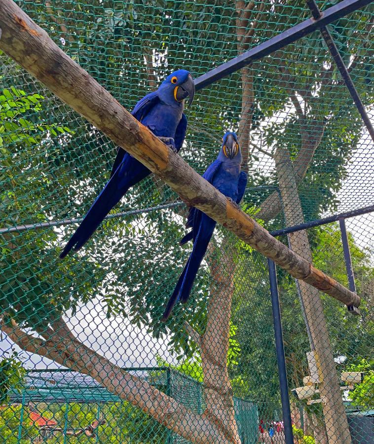 Birds Resort Hambantota Esterno foto