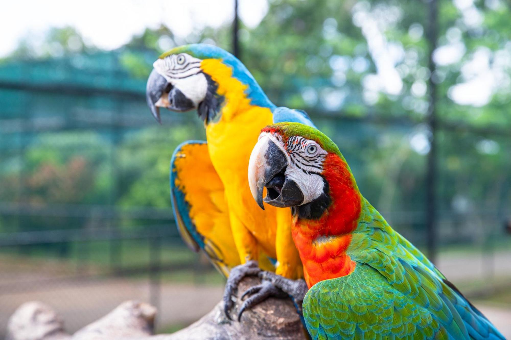 Birds Resort Hambantota Esterno foto